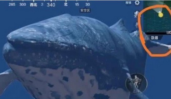 绝地求生刺激战场网红鲲在哪 网红鲲位置坐标一览