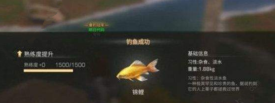 明日之后营地鱼塘在哪 营地鱼塘位置解析