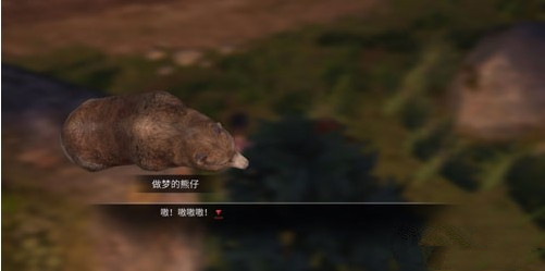 明日之后熊仔在哪 做梦的熊仔任务怎么做?