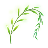 QQ飞车手游踏青迎福季活动有哪些 炽愿赛车免费领取攻略