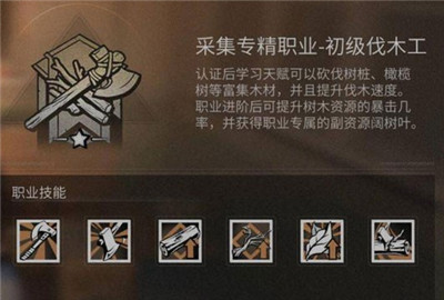 明日之后伐木工人证有什么用