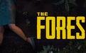 forest中加好友详细操作步骤