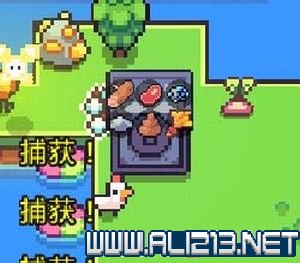 iefans网