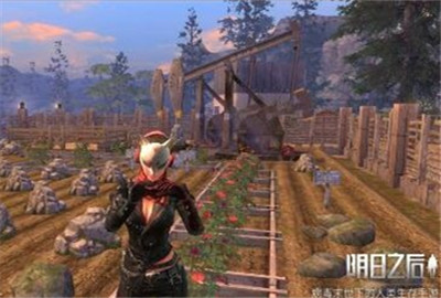 明日之后玫瑰花怎么得 玫瑰种子怎么获得?