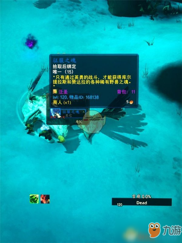 《魔兽世界》雷皮之槌材料获取攻略
