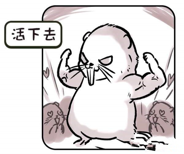 竹鼠活下去怎么玩