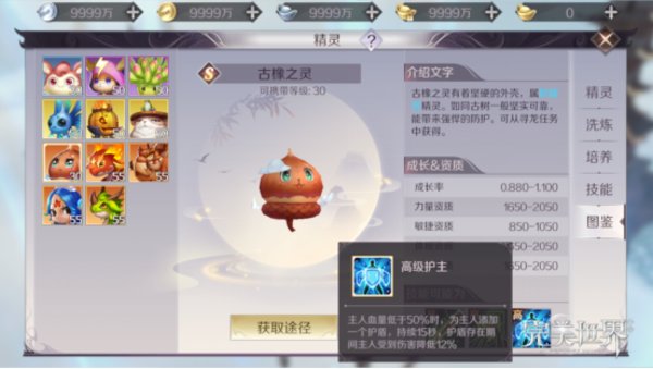 完美世界手游精灵怎么加点？全精灵属性加点攻略