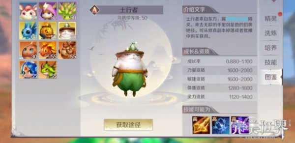 完美世界手游物理精灵选什么技能好