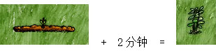 一小时人生乳草怎么种好？乳草种植心得分享