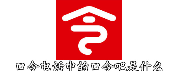 口令电话中的口令吧是什么