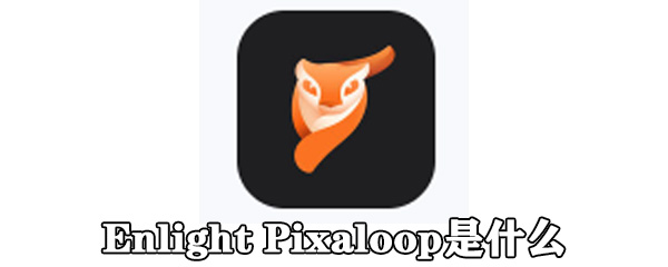 Enlight Pixaloop是什么