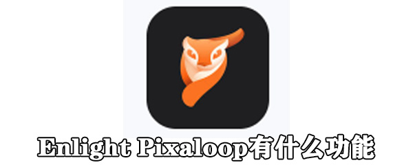 Enlight Pixaloop有什么功能