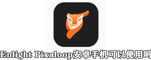 Enlight Pixaloop安卓手机可以使用吗