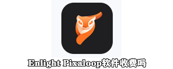Enlight Pixaloop软件收费吗