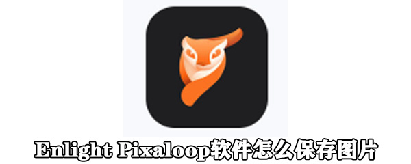 Enlight Pixaloop软件怎么保存图片
