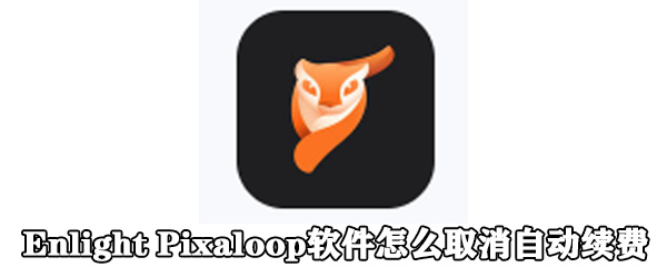 Enlight Pixaloop软件怎么取消自动续费