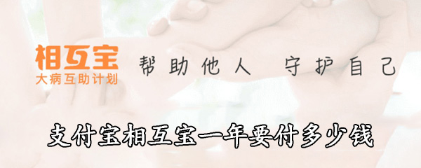 支付宝相互宝一年要付多少钱
