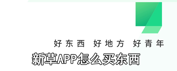 新草APP怎么买东西