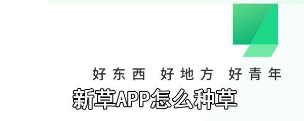 新草APP怎么种草