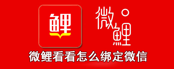 微鲤看看怎么绑定微信