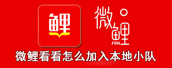 微鲤看看怎么加入本地小队