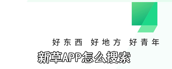 新草APP怎么搜索