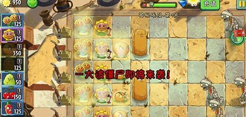 植物大战僵尸2神秘埃及第一天怎么过