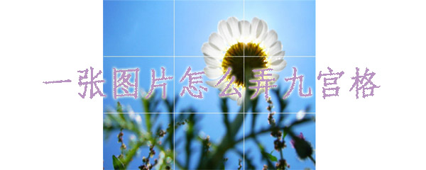 一张图片怎么弄九宫格