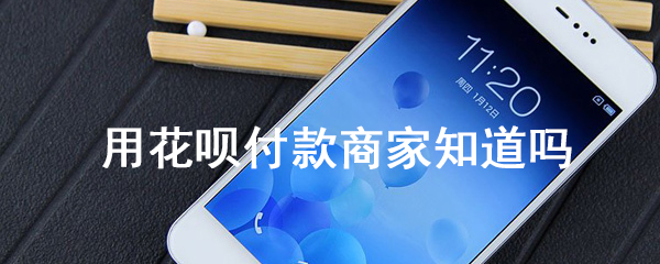 td是什么网络意思啊