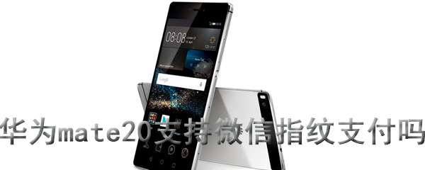 华为mate20支持微信指纹支付吗