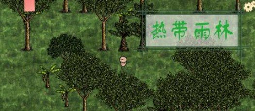 一小时人生热带雨林地形资源种类及分布一览