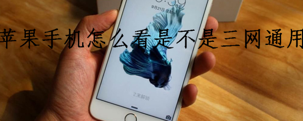 苹果手机怎么看是不是三网通用