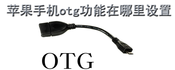 苹果手机otg功能在哪里设置