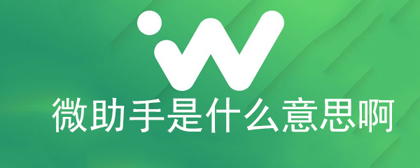 微助手是什么意思啊