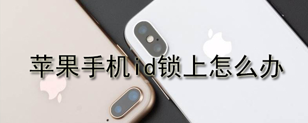 苹果手机id锁上怎么办