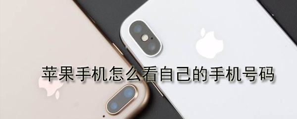 苹果手机怎么看自己的手机号码
