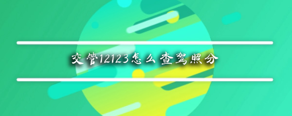 交管12123怎么查驾照分