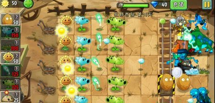 植物大战僵尸2狂野西部第16关怎么过
