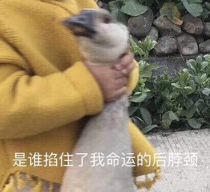 红警之家手游网