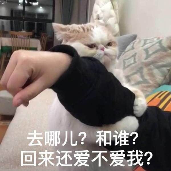 红警之家手游网