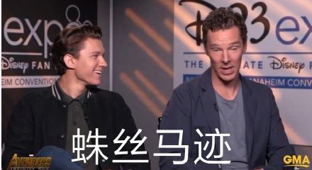 小蛛配奇表情包大全 小蛛配奇表情包搞笑图片分享图片2