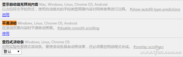 优化chrome浏览器五个技巧