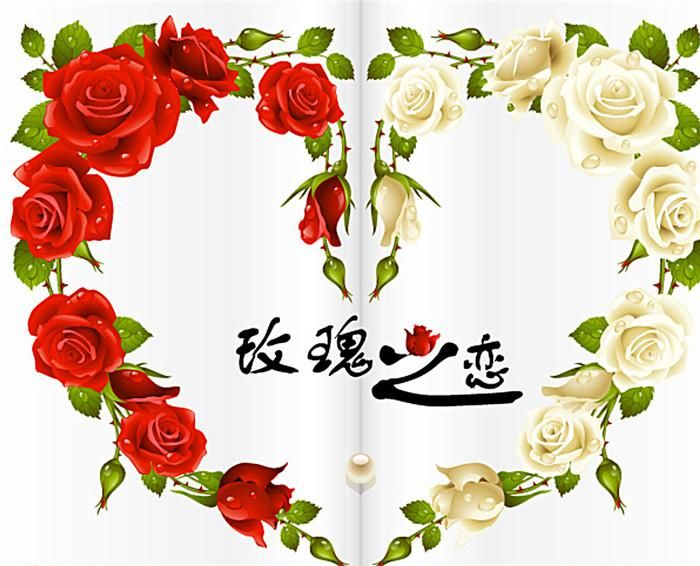 抖音我要送你红色玫瑰是什么歌？抖音上的送你99朵玫瑰花是什么歌图片2