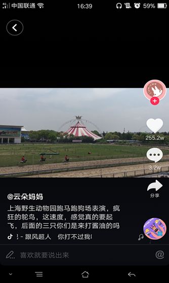抖音骑鸵鸟赛跑背景音乐是什么？抖音哈哈哈哈你打不过我吧歌曲介绍图片2
