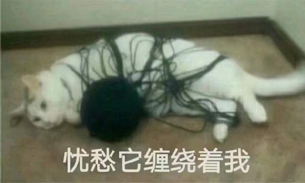 红警之家手游网
