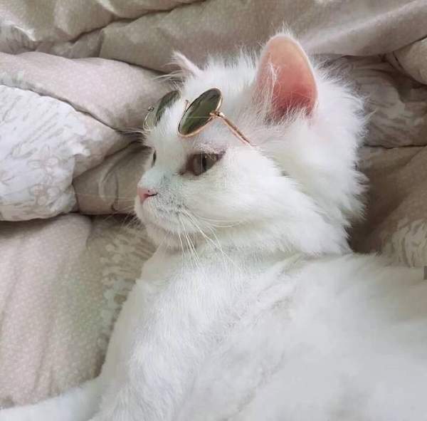 红警之家手游网