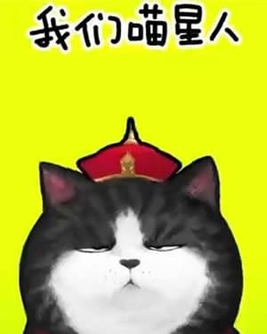 我们喵星人就是辣么拽表情包：