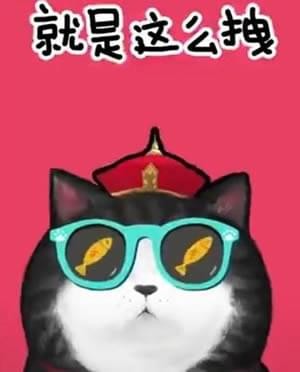 我们喵星人就是辣么拽表情包