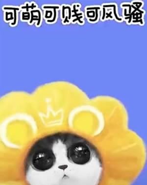 我们喵星人就是辣么拽表情包：