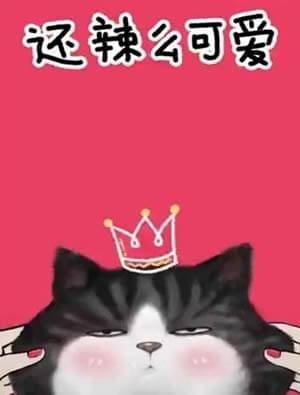 我们喵星人就是辣么拽表情包